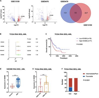 The Prognostic Value and Function of HOXB5 in Acute Myeloid Leukemia